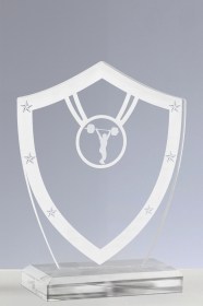 Trofee Creatie ASW 123